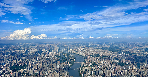 top域名查询文档介绍内容