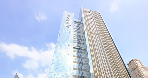 Top查询到的域名网站