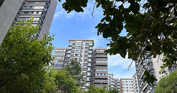 广州top域名查询