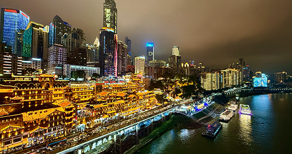 国内top域名查询官网入口