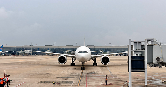 top域名注册查询