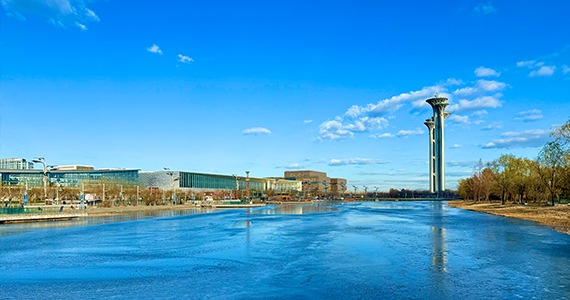 郑州top域名查询