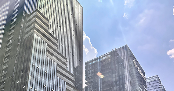 topbo77域名解析查询